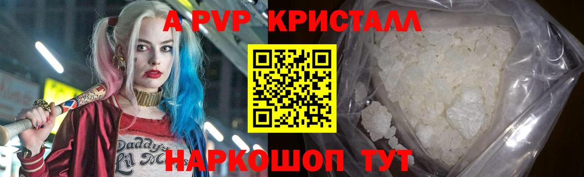 A PVP СК КРИС Каменка