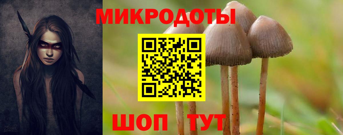 Каменка  Псилоцибиновые грибы Magic Shrooms  Вход с VPN 